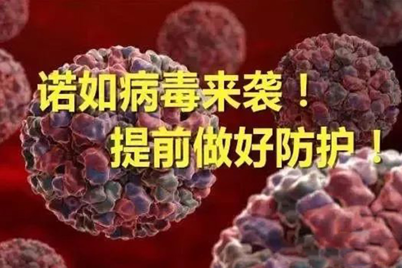 小心！諾如病毒感染性胃腸炎高發(fā)季節(jié)來啦！
